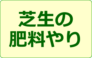 芝生の肥料やり