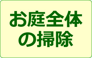 お庭全体の掃除