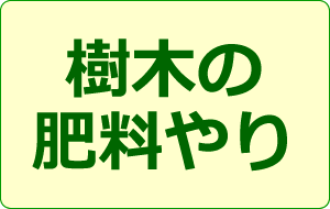 樹木の肥料やり