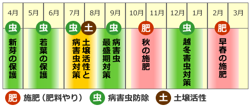 年間プログラム